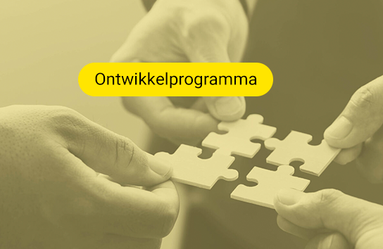 Ontwikkelprogramma - Module Arbeidsmarkt